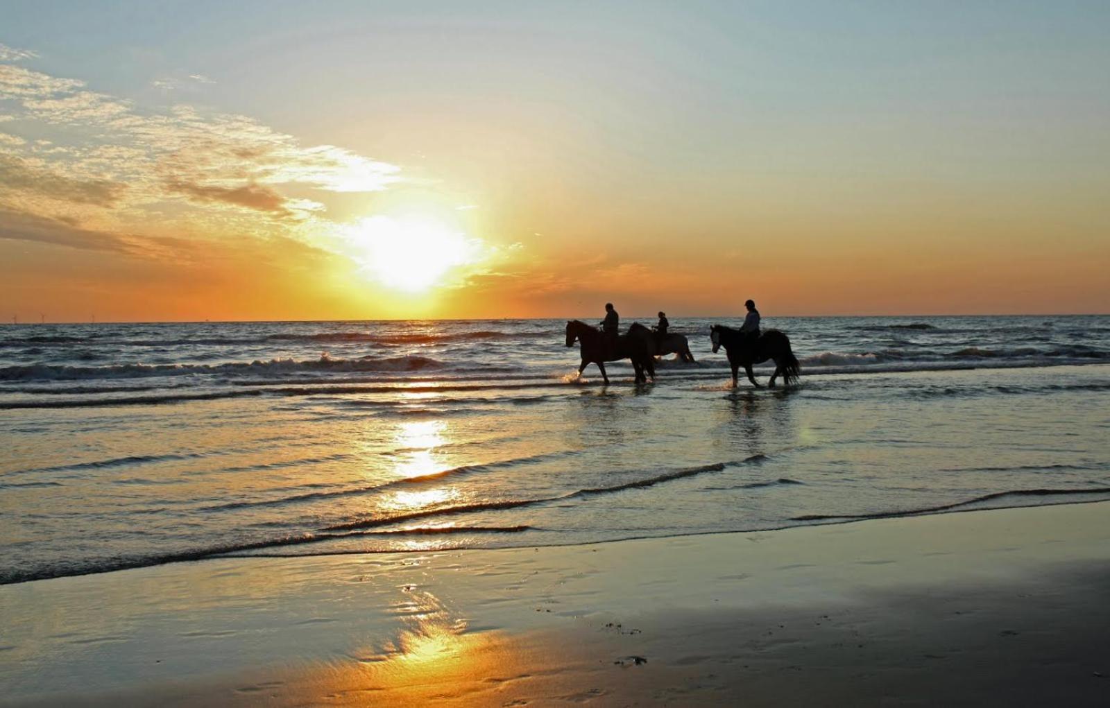 Mer Et Soleil A Blonville Sur Mer/ Deauville Экстерьер фото
